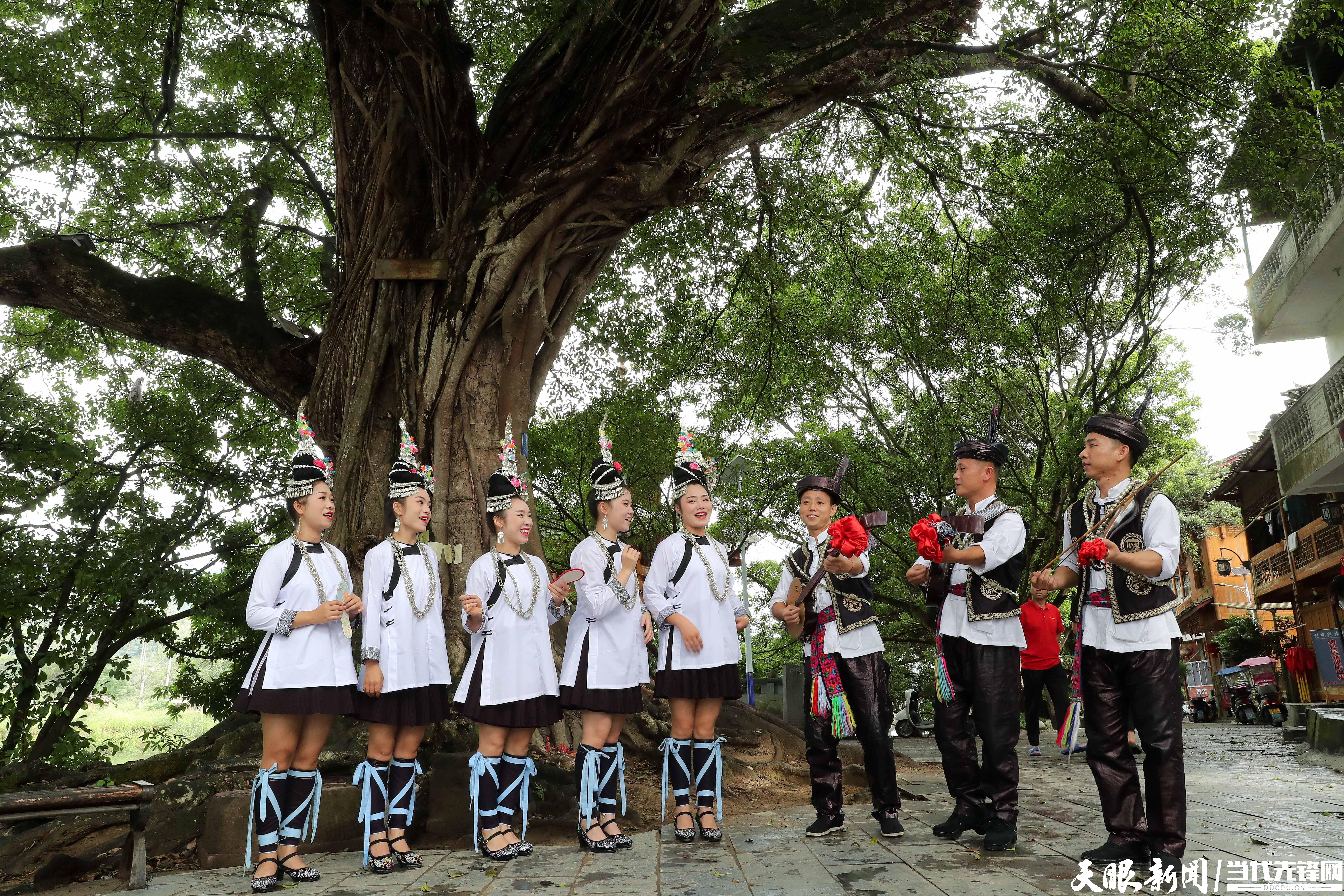 9月22日，在榕江縣古州鎮(zhèn)三寶侗寨古榕群景區(qū)，當(dāng)?shù)囟弊迩嗄暝诠砰艠湎聫棾弊迮酶琛＃ㄙF州圖片庫發(fā) 李長華 攝）.jpeg